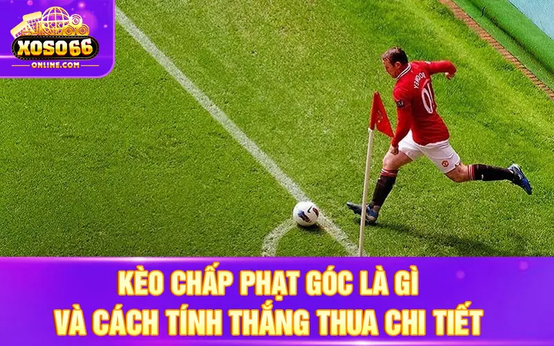 Kèo chấp phạt góc là gì và cách tính thắng thua chi tiết