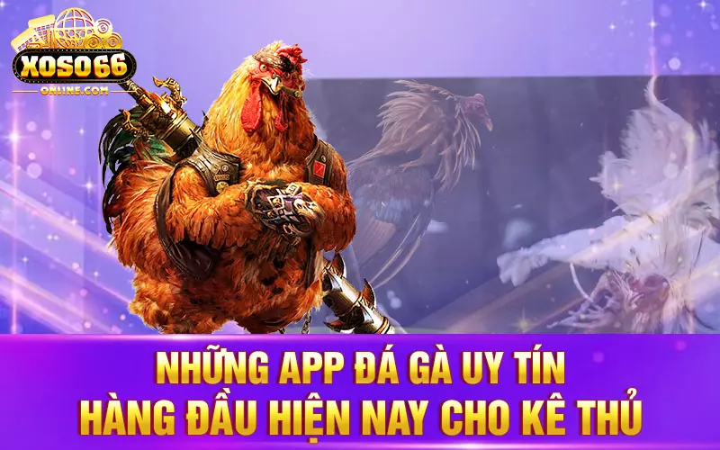 Những app đá gà uy tín hàng đầu hiện nay cho kê thủ