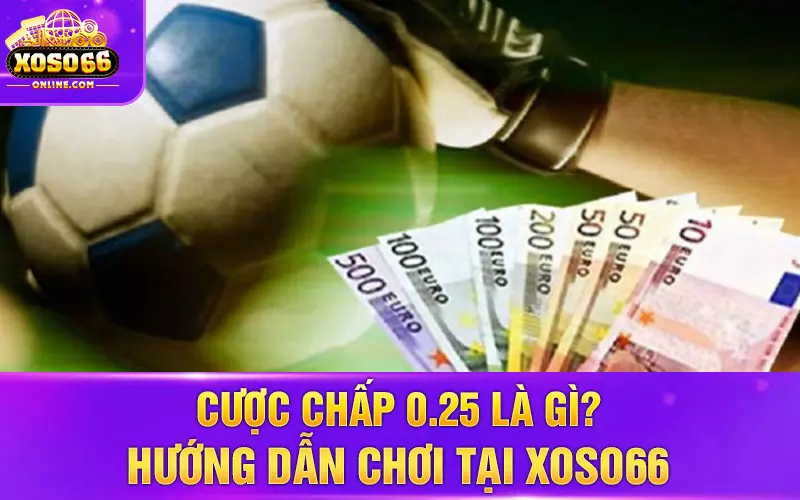 Cược chấp 0.25 là gì Hướng dẫn chơi tại Xoso66