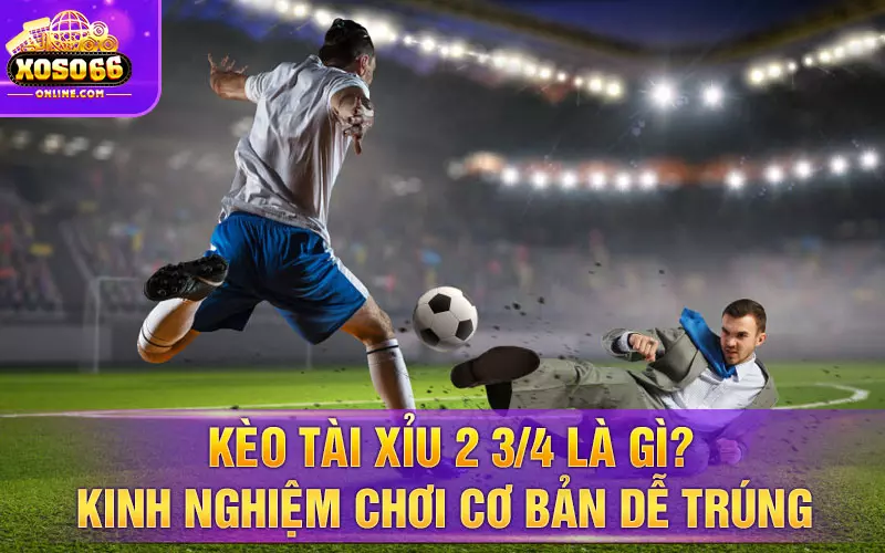 Kèo tài xỉu 2 3 4 là gì Kinh nghiệm chơi cơ bản dễ trúng