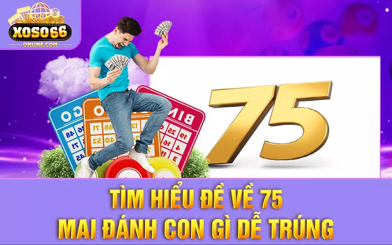 Tìm hiểu đề về 75 mai đánh con gì dễ trúng